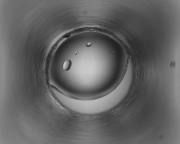 X0000114181068200910081454
