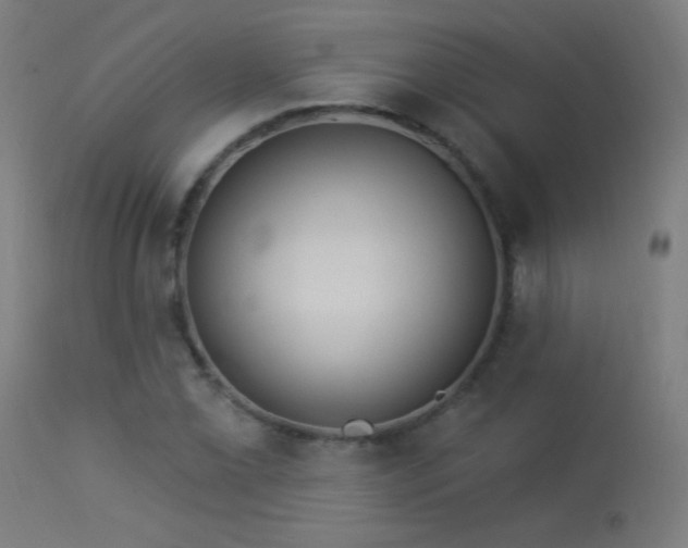 X0000114181069200910081454