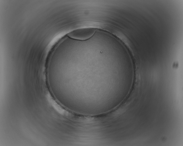 X0000114181072200910081454