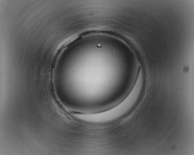 X0000114181073200910081454