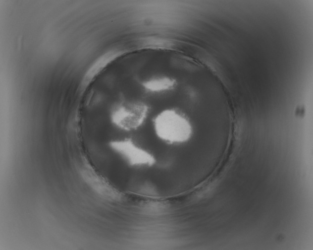 X0000114181074200910081454