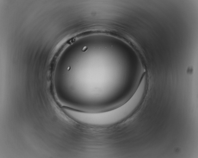 X0000114181075200910081454