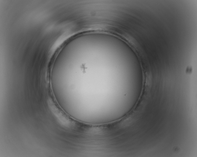 X0000114181078200910081454