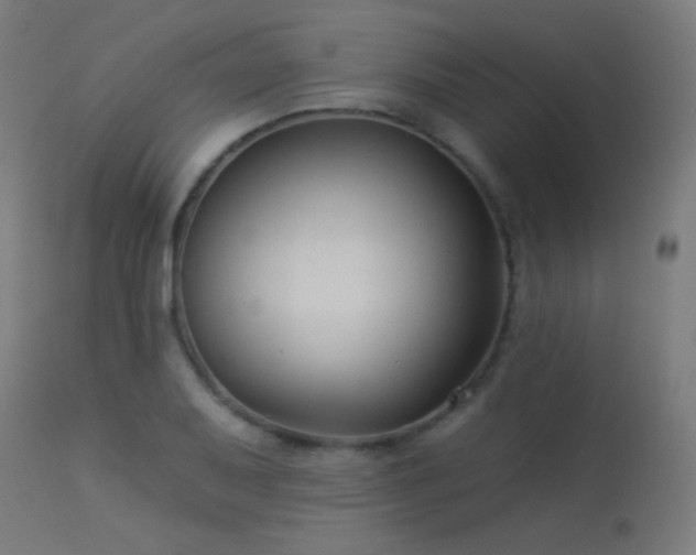 X0000114181079200910081454