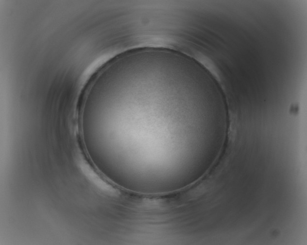 X0000114181080200910081454