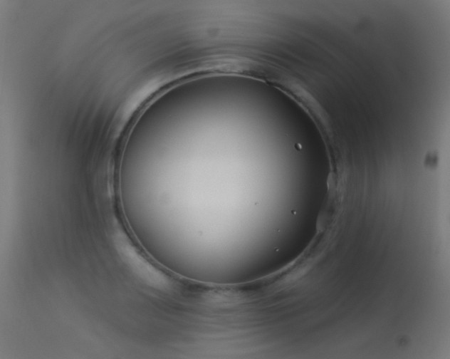 X0000114181083200910081454
