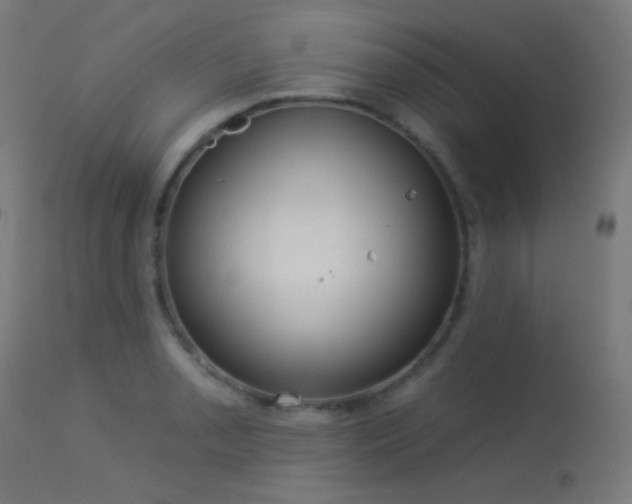X0000114181085200910081454