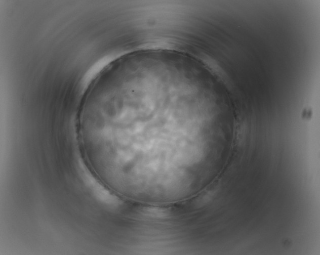 X0000114181086200910081454