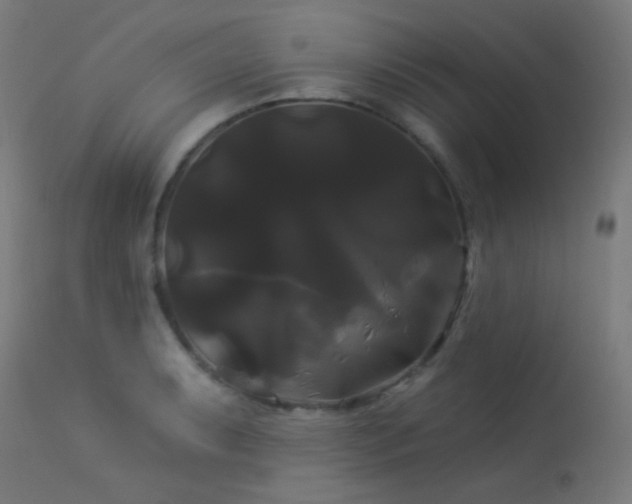 X0000114181087200910081453