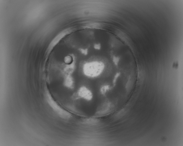 X0000114181090200910081453