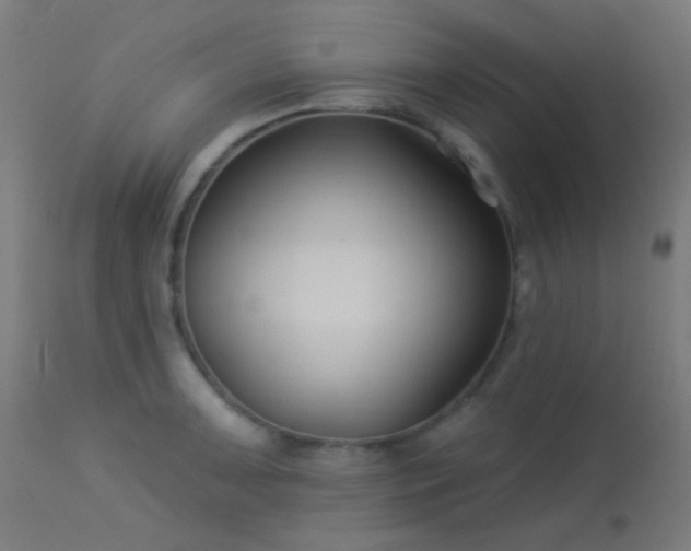 X0000114181091200910081453