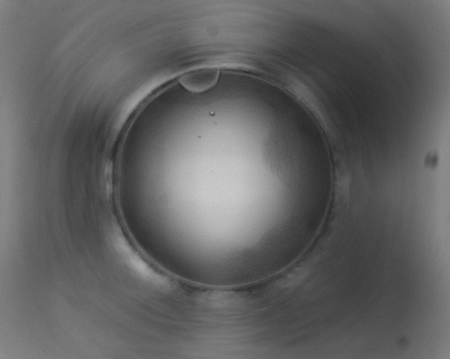 X0000114181092200910081453