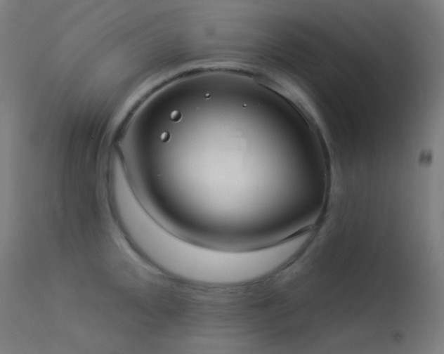 X0000114181093200910081453