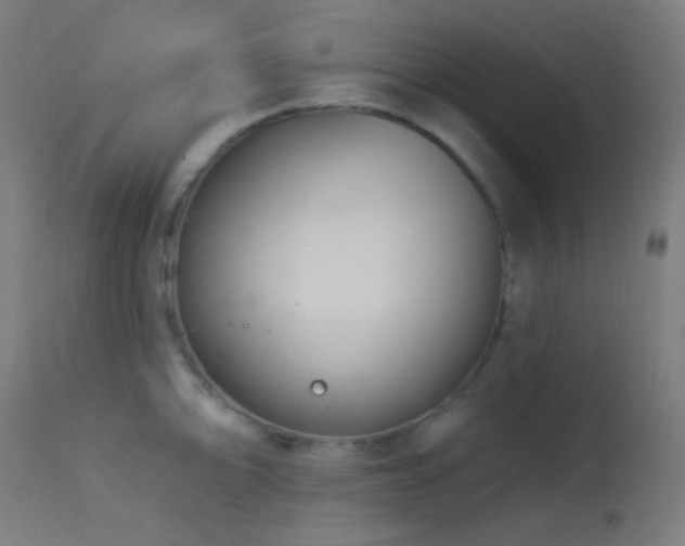 X0000114181094200910081453