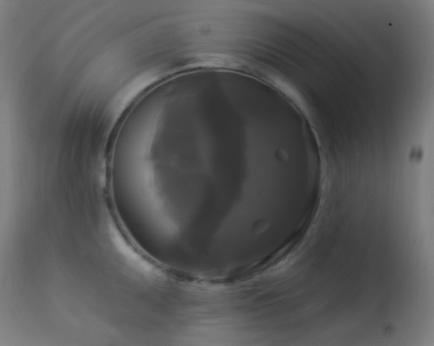 X0000114181095200910081453