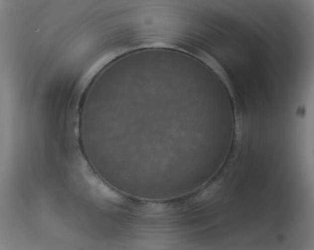 X0000114181096200910081453