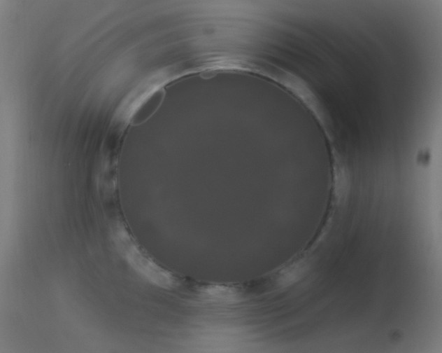 X0000114181097200910081453