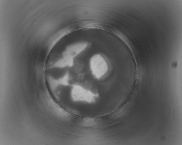 X0000114181098200910081453