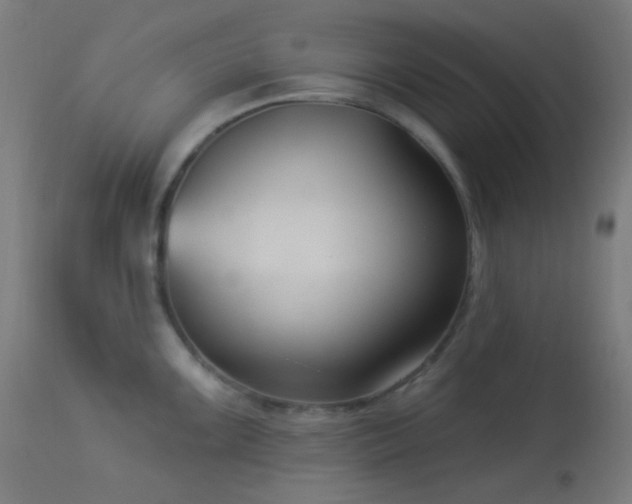 X0000114181099200910081453