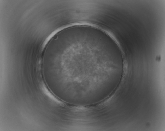 X0000114181100200910081453