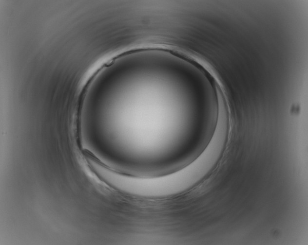 X0000114181101200910081453