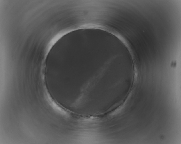 X0000114181102200910081453