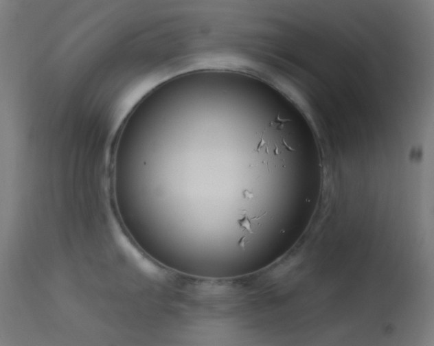 X0000114181103200910081453