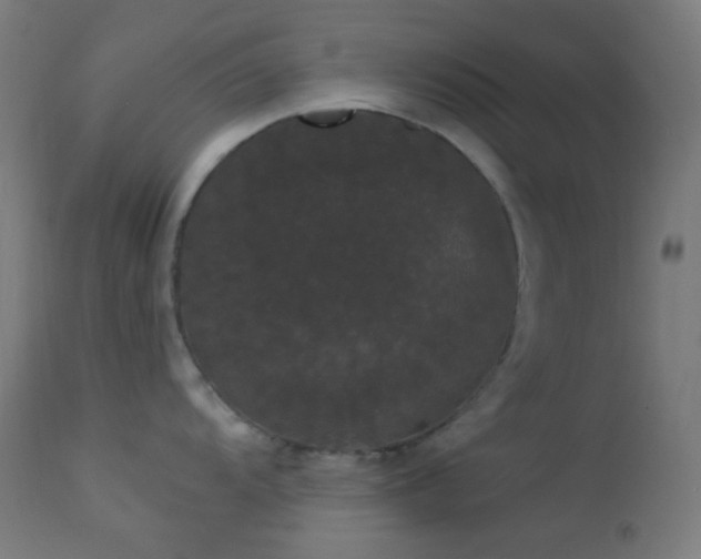 X0000114181104200910081453