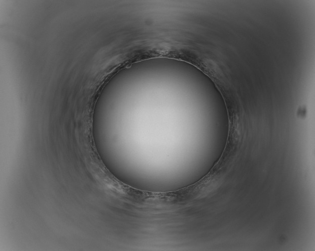X0000114181105200910081452