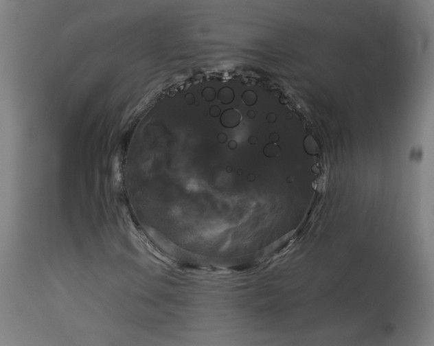 X0000114181106200910081452