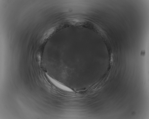 X0000114181108200910081452