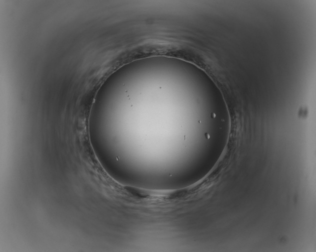 X0000114181109200910081452