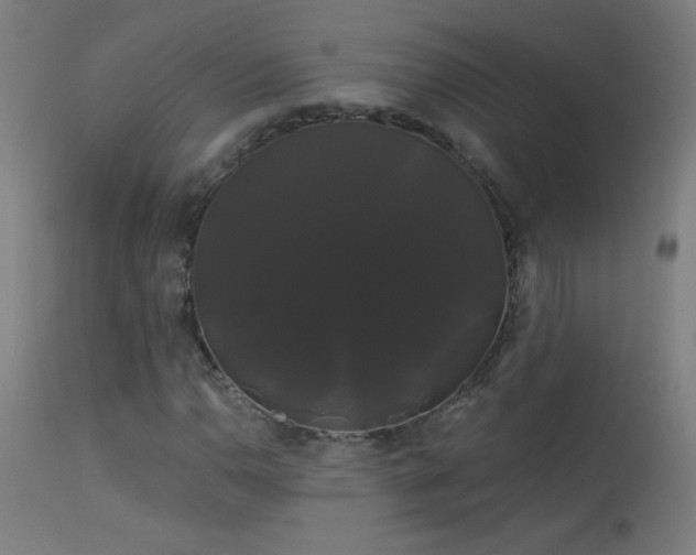 X0000114181110200910081453