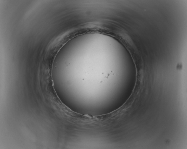X0000114181111200910081453