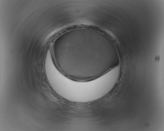 X0000114181112200910081453