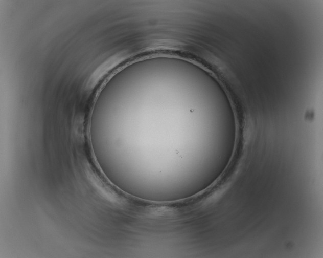 X0000114181113200910081453