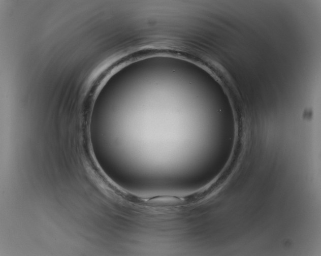 X0000114181114200910081453