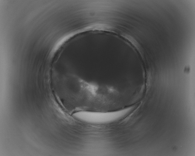 X0000114181115200910081453