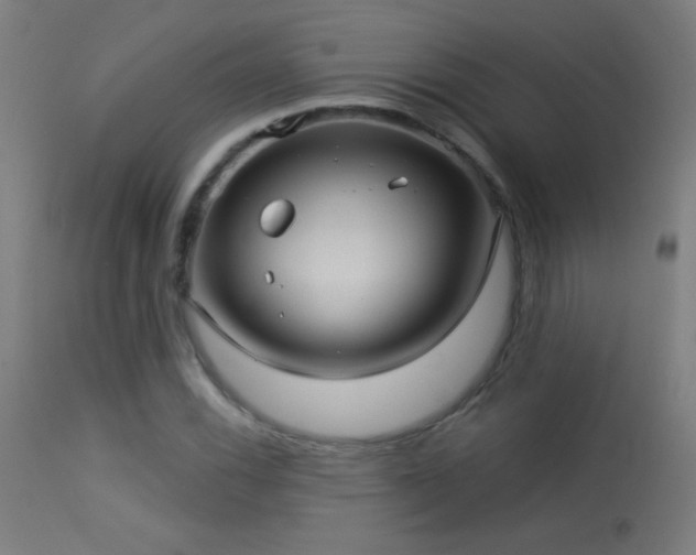 X0000114181116200910081453