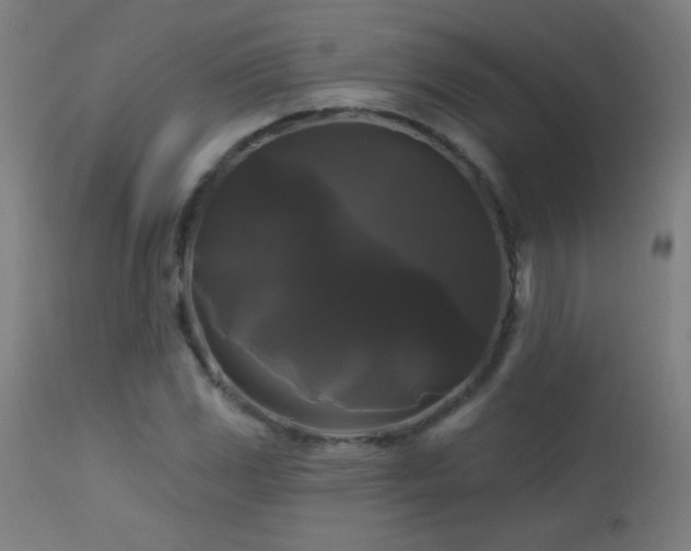 X0000114181117200910081453