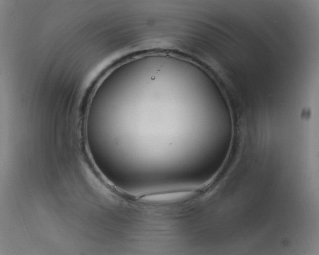 X0000114181118200910081453