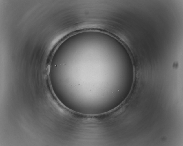 X0000114181119200910081453