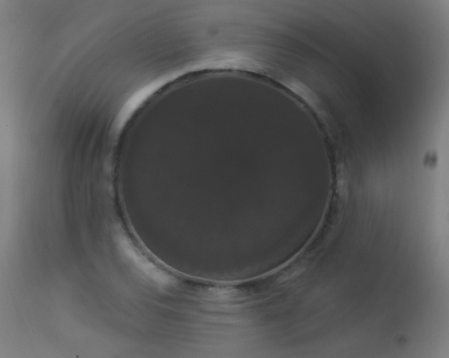 X0000114181120200910081453