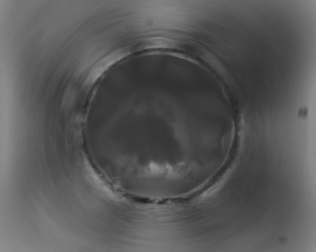 X0000114181121200910081453