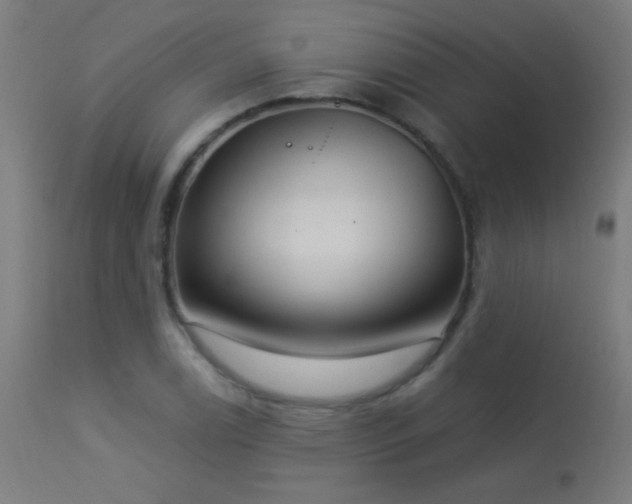 X0000114181122200910081453