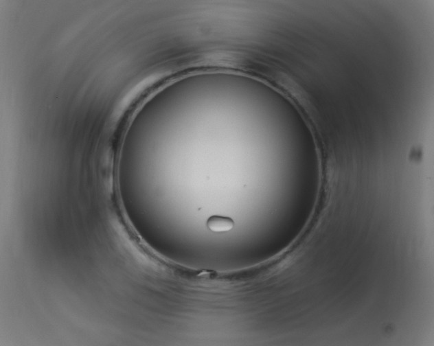 X0000114181123200910081453
