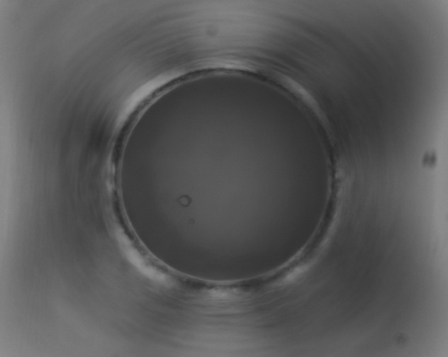 X0000114181125200910081453