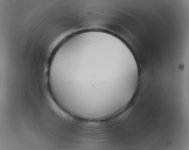 X0000114181126200910081453