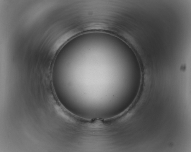 X0000114181129200910081453