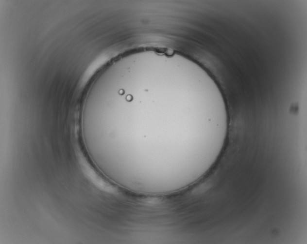 X0000114181130200910081453
